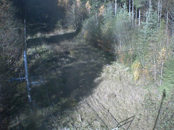 Snímek 5.11.2025 v 10:49