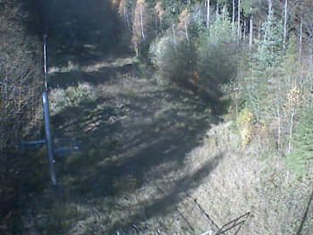 Snímek 6.11.2025 v 11:09