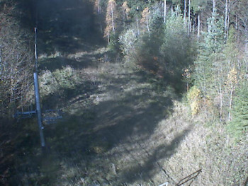 Snímek 6.11.2025 v 11:19