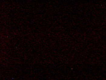 Snímek 7.11.2025 v 04:39