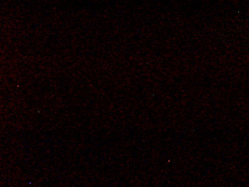 Snímek 7.11.2025 v 05:19