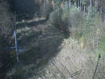 Snímek 7.11.2025 v 10:49