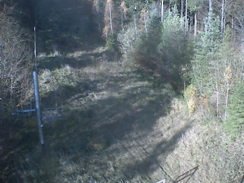 Snímek 7.11.2025 v 11:19