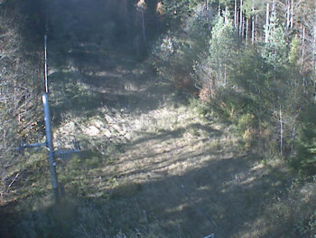 Snímek 7.11.2025 v 12:39