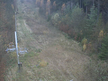 Snímek 8.11.2025 v 07:49