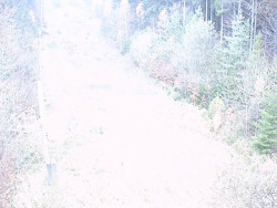 Kamera na svahu B, nástup vleku