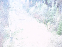 Kamera na svahu B, nástup vleku