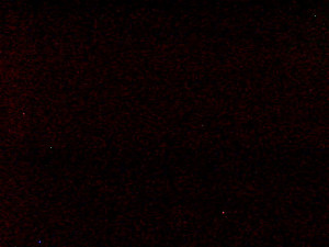 Skiareál Troják - Kamera na svahu B, nástup vleku - 14.11.2025 v 01:49 Skiareál Troják - Kamera na svahu B, nástup vleku - 14.11.2025 v 01:49