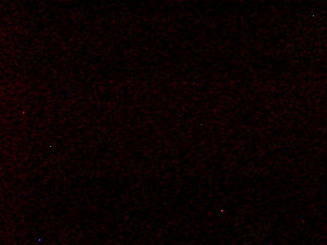 Skiareál Troják - Kamera na svahu B, nástup vleku - 14.11.2025 v 02:39 Skiareál Troják - Kamera na svahu B, nástup vleku - 14.11.2025 v 02:39