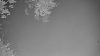 Snímek    25.10.2025 v 06:20