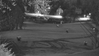 Snímek    31.10.2025 v 17:05