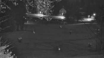 Snímek    3.11.2025 v 06:05