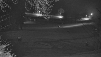 Snímek    4.11.2025 v 00:50