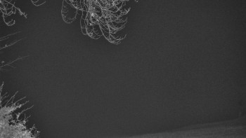 Snímek    4.11.2025 v 05:25