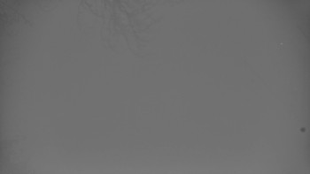 Snímek    4.11.2025 v 06:10