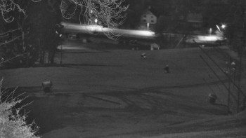 Snímek 5.11.2025 v 02:15