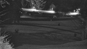 Snímek 5.11.2025 v 05:15