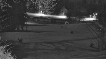 Snímek 6.11.2025 v 04:15