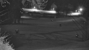 Snímek 7.11.2025 v 05:25