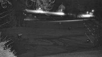 Snímek 7.11.2025 v 20:20