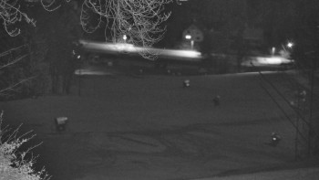 Snímek 7.11.2025 v 23:25