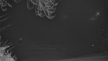 Snímek 8.11.2025 v 19:35