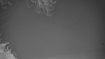 Snímek 8.11.2025 v 20:31