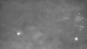 Skiareál Karolinka - Město Karolinka - 25.12.2025 v 02:20 Skiareál Karolinka - Město Karolinka - 25.12.2025 v 02:20