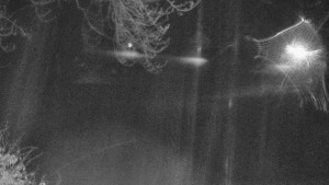 Skiareál Karolinka - Město Karolinka - 26.3.2026 v 02:35 Skiareál Karolinka - Město Karolinka - 26.3.2026 v 02:35