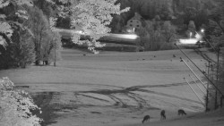 Město Karolinka