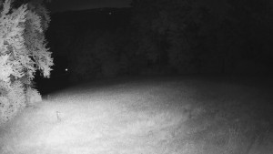 Skiareál Karolinka - Prostřední část sjezdovky a snowpark - 14.6.2025 v 01:32 Skiareál Karolinka - Prostřední část sjezdovky a snowpark - 14.6.2025 v 01:32