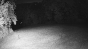 Skiareál Karolinka - Prostřední část sjezdovky a snowpark - 14.6.2025 v 02:02 Skiareál Karolinka - Prostřední část sjezdovky a snowpark - 14.6.2025 v 02:02