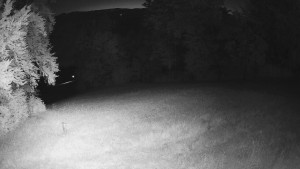 Skiareál Karolinka - Prostřední část sjezdovky a snowpark - 14.6.2025 v 02:32 Skiareál Karolinka - Prostřední část sjezdovky a snowpark - 14.6.2025 v 02:32