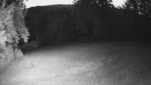 Skiareál Karolinka - Prostřední část sjezdovky a snowpark - 14.6.2025 v 03:32 Skiareál Karolinka - Prostřední část sjezdovky a snowpark - 14.6.2025 v 03:32