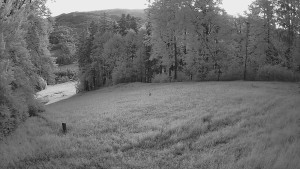 Skiareál Karolinka - Prostřední část sjezdovky a snowpark - 14.6.2025 v 04:05 Skiareál Karolinka - Prostřední část sjezdovky a snowpark - 14.6.2025 v 04:05