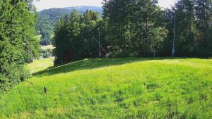 Skiareál Karolinka - Prostřední část sjezdovky a snowpark - 14.6.2025 v 08:32 Skiareál Karolinka - Prostřední část sjezdovky a snowpark - 14.6.2025 v 08:32