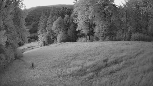 Skiareál Karolinka - Prostřední část sjezdovky a snowpark - 14.6.2025 v 21:32 Skiareál Karolinka - Prostřední část sjezdovky a snowpark - 14.6.2025 v 21:32