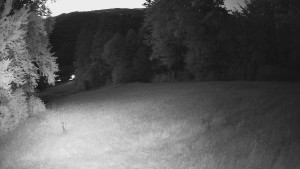 Skiareál Karolinka - Prostřední část sjezdovky a snowpark - 14.6.2025 v 22:02 Skiareál Karolinka - Prostřední část sjezdovky a snowpark - 14.6.2025 v 22:02