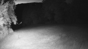 Skiareál Karolinka - Prostřední část sjezdovky a snowpark - 14.6.2025 v 22:32 Skiareál Karolinka - Prostřední část sjezdovky a snowpark - 14.6.2025 v 22:32