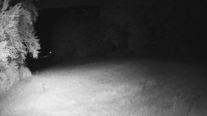 Skiareál Karolinka - Prostřední část sjezdovky a snowpark - 14.6.2025 v 23:32 Skiareál Karolinka - Prostřední část sjezdovky a snowpark - 14.6.2025 v 23:32