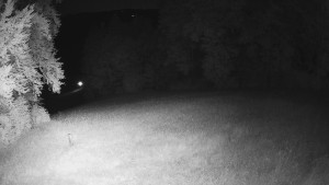 Skiareál Karolinka - Prostřední část sjezdovky a snowpark - 21.6.2025 v 00:32 Skiareál Karolinka - Prostřední část sjezdovky a snowpark - 21.6.2025 v 00:32