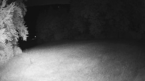 Skiareál Karolinka - Prostřední část sjezdovky a snowpark - 21.6.2025 v 02:02 Skiareál Karolinka - Prostřední část sjezdovky a snowpark - 21.6.2025 v 02:02