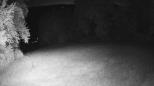 Skiareál Karolinka - Prostřední část sjezdovky a snowpark - 21.6.2025 v 02:32 Skiareál Karolinka - Prostřední část sjezdovky a snowpark - 21.6.2025 v 02:32