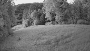 Skiareál Karolinka - Prostřední část sjezdovky a snowpark - 21.6.2025 v 21:32 Skiareál Karolinka - Prostřední část sjezdovky a snowpark - 21.6.2025 v 21:32