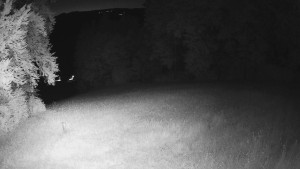 Skiareál Karolinka - Prostřední část sjezdovky a snowpark - 21.6.2025 v 23:02 Skiareál Karolinka - Prostřední část sjezdovky a snowpark - 21.6.2025 v 23:02