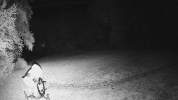Snímek    25.10.2025 v 04:40