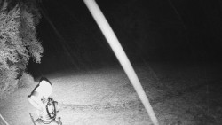 Prostřední část sjezdovky a snowpark