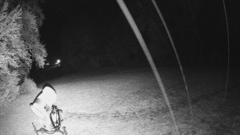 Snímek    28.10.2025 v 19:40