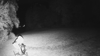 Snímek    28.10.2025 v 22:45