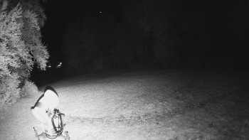 Snímek    29.10.2025 v 00:20